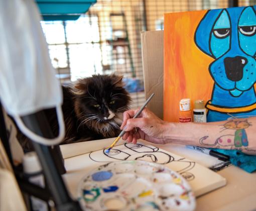 Person painting with a cat watching
