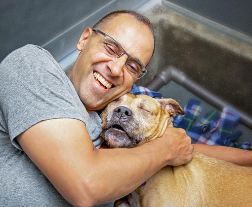 Smiling person hugging a happy brown dog