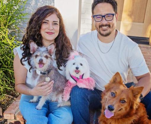 Two people sitting outside with three dogs