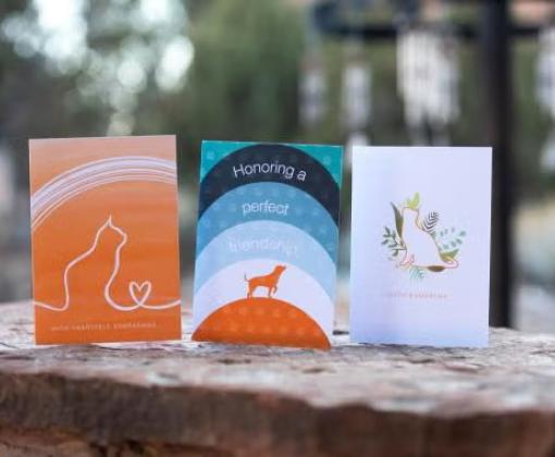 Three sympathy cards on a rock ledge