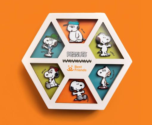 Peanuts character pins