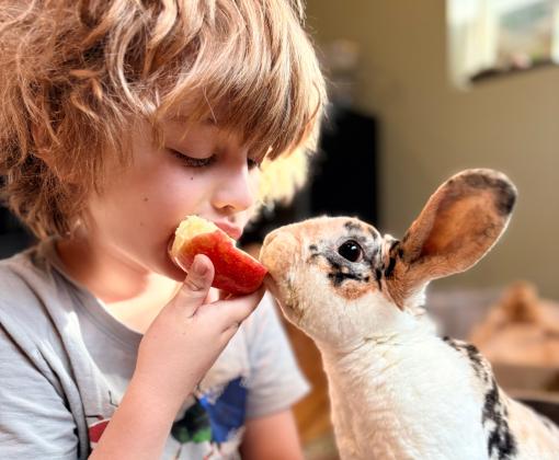 Child eating an apple with Leroy the rabbit