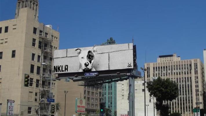 NKLA black and white billboard featuring Jewell the dog