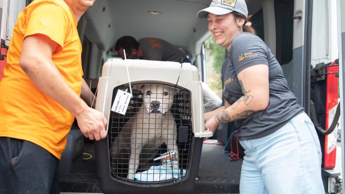 Two people wearing Best Friends T-shirts lifting a kennel containing a white dog
