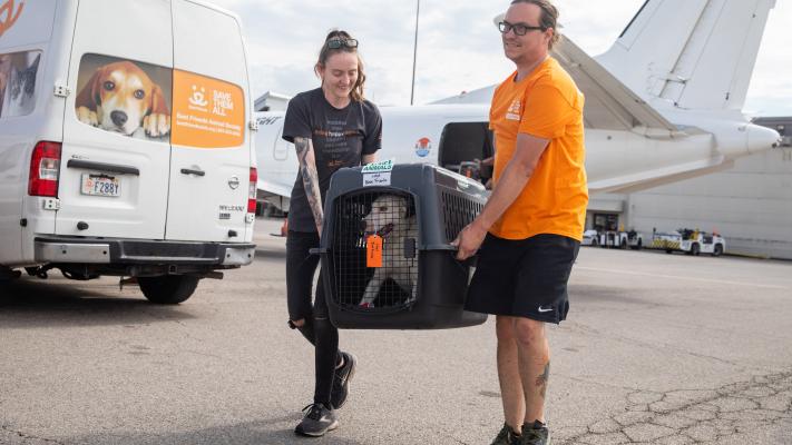 Two people carrying a dog in a crate from a transport flight from Texas