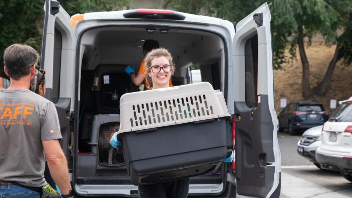 Person carrying a crate from a van