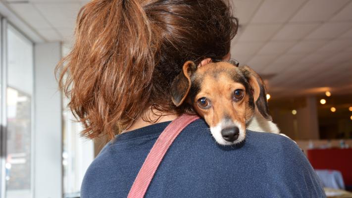 Person holding a small dog over her shoulder