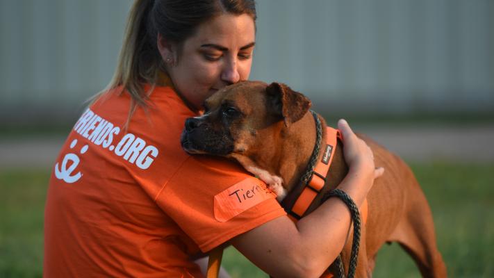 Person wearing a Best Friends orange T-shirt hugging a boxer-type dog