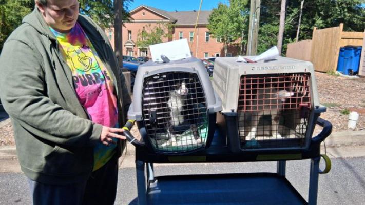 Person with two carriers containing cats on a rolling cart