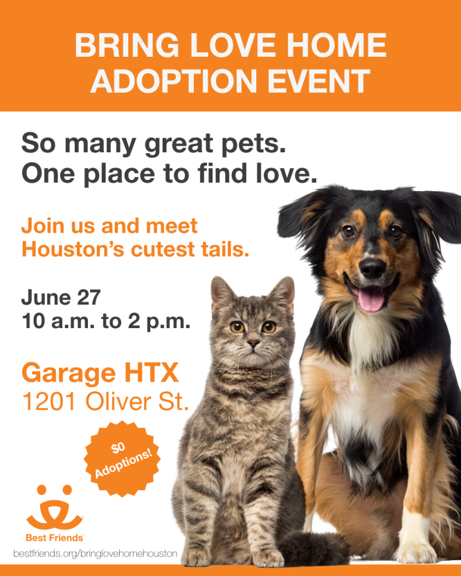 Bring Love Home Flyer