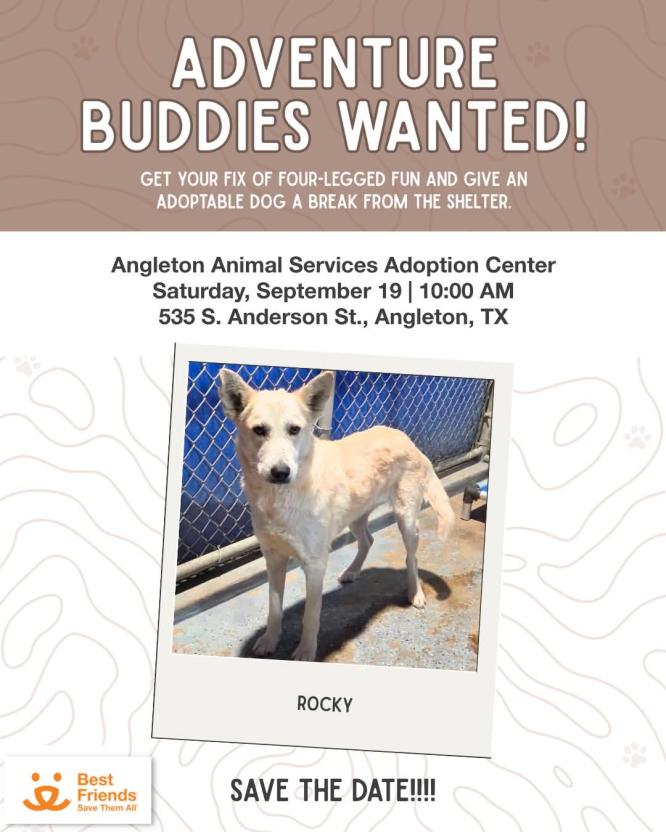 Angleton Animal Services Adventure Buddy Day