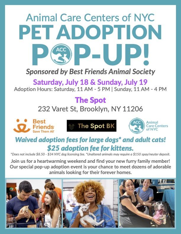 ACC Pop-UP Flyer