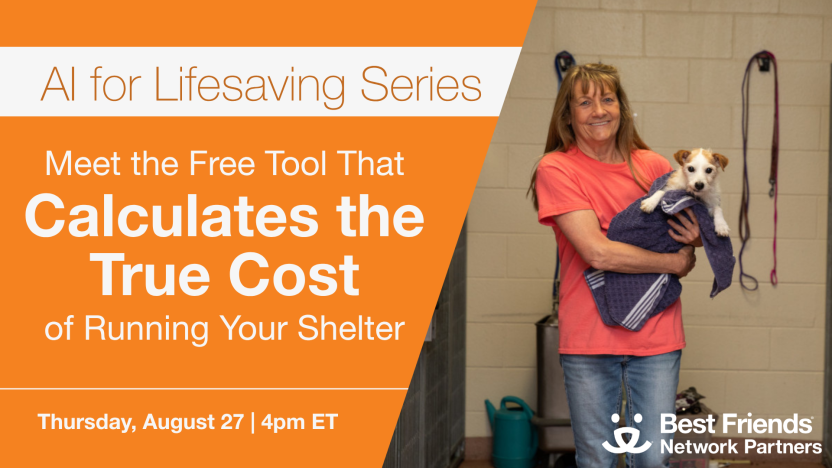 Graphic with AI for Lifesaving Series, Meet the Free Tool that Calculates the True Cost of Running Your Shelter