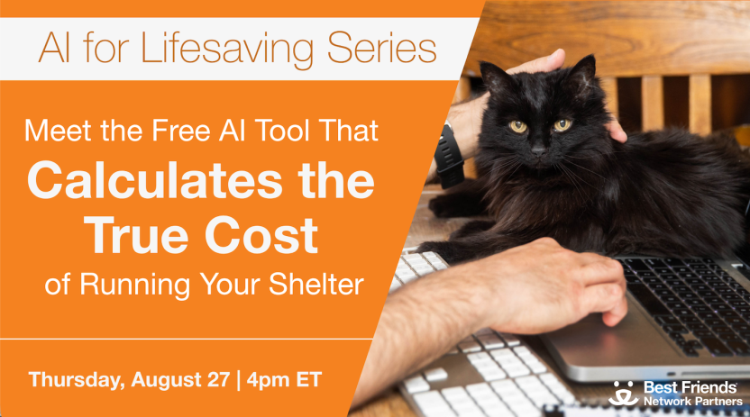 Flyer with black cat on a computer and text about the AI for Lifesaving webinar