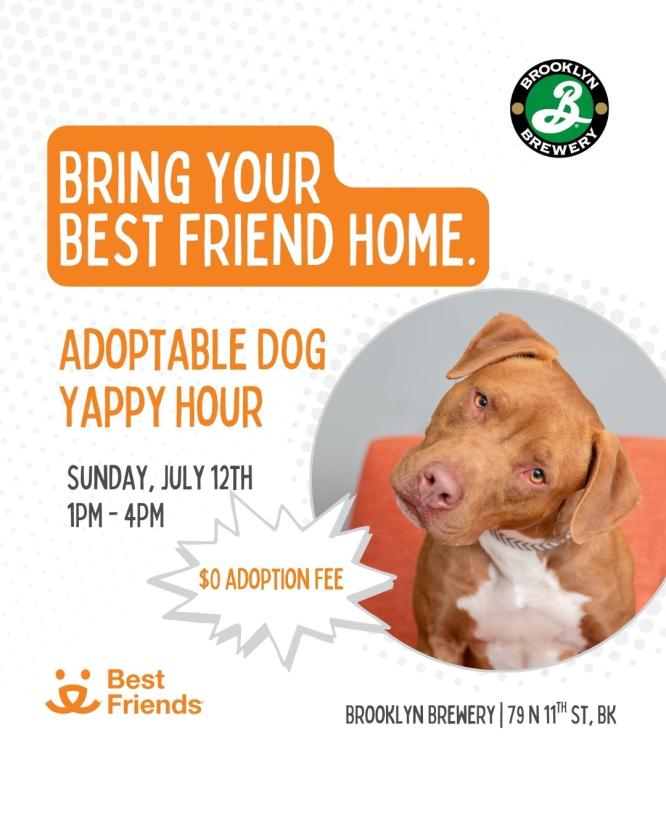 Flyer for dog adoption Event