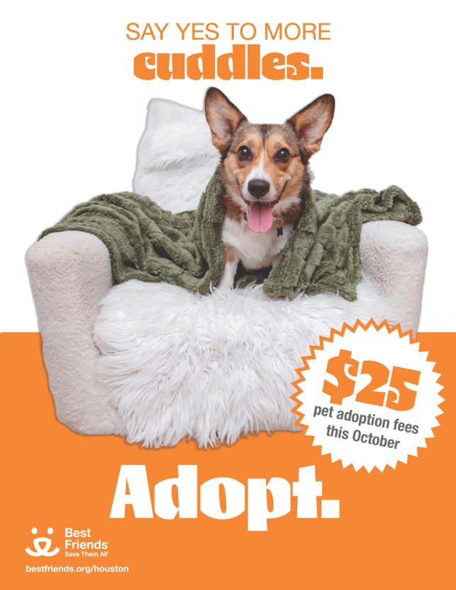 $25 Adoptions in Houston October 2026