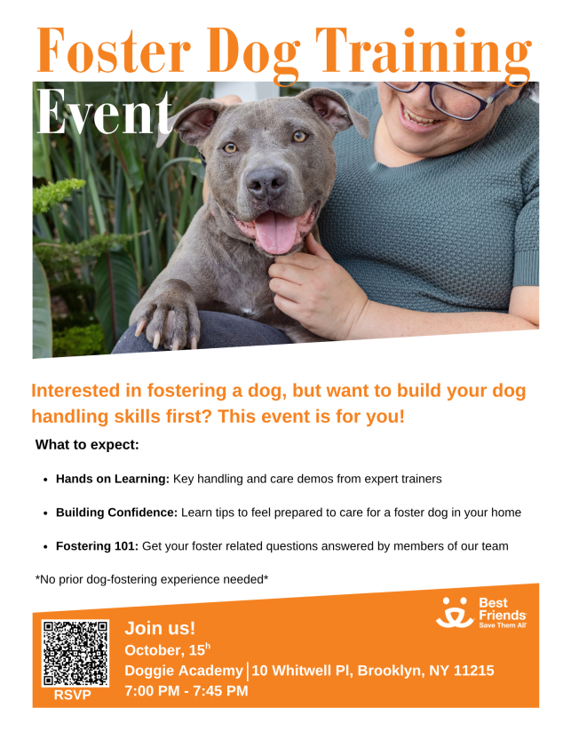 Flyer for Foster Dog Training Event