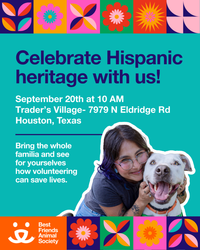 Houston Hispanic Heritage at Trader's Village