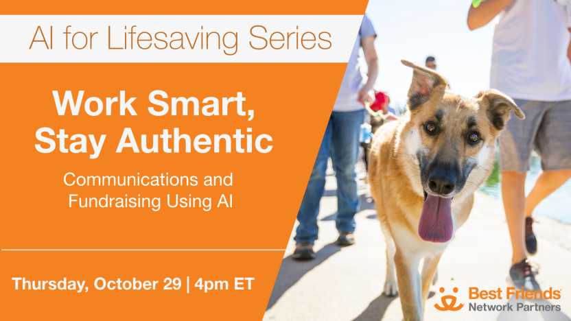 Banner with dog announcing Work Smart, Stay Authentic