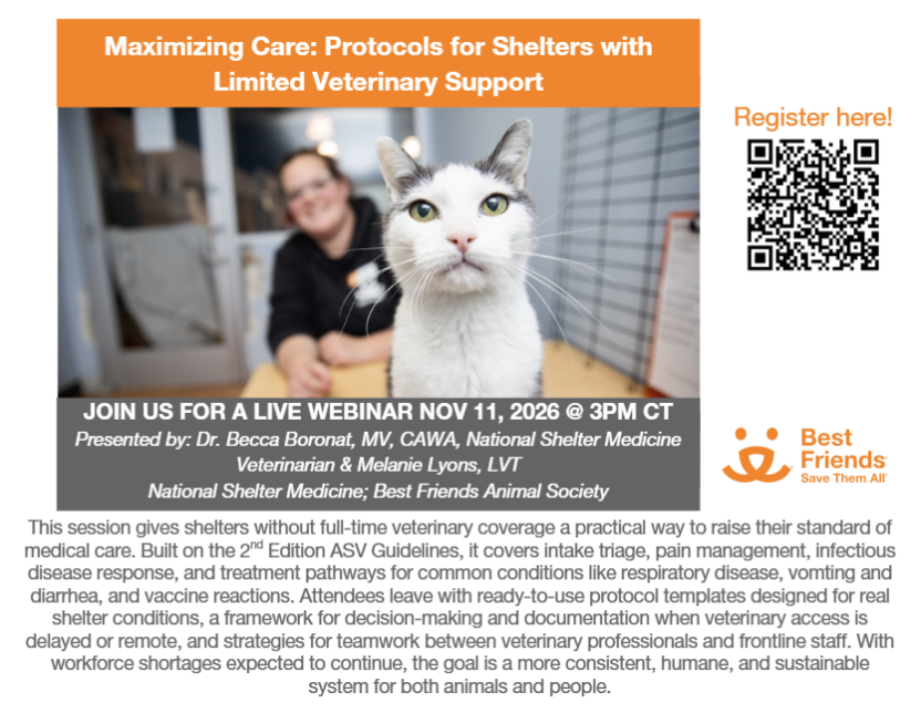 Network NSM Webinar Flyer