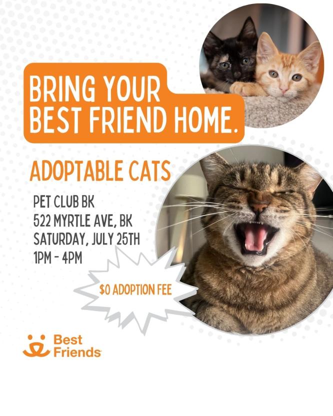 Adoption Event Flyer
