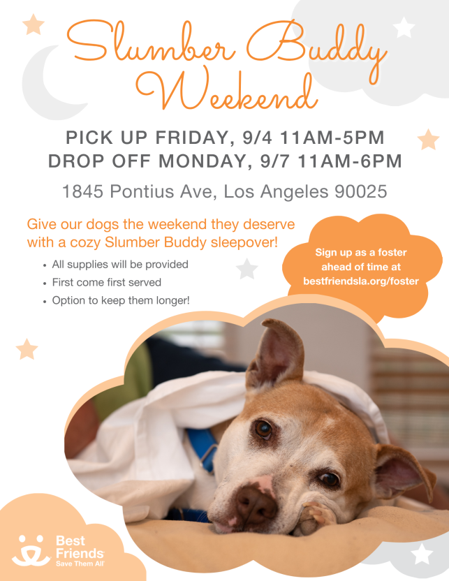 Slumber Buddy Weekend Flyer