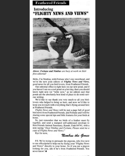 Flighty news and views magazine article from 1994