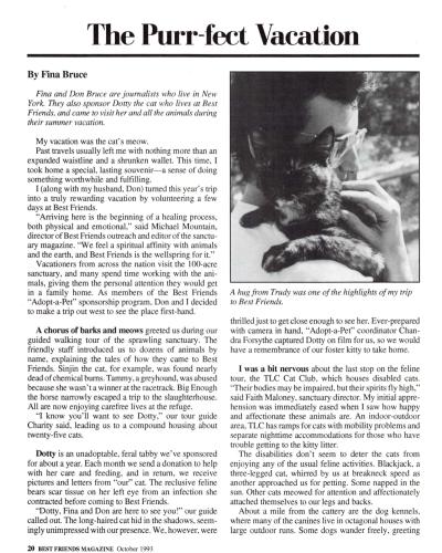 Preview of purr-fect vacation article