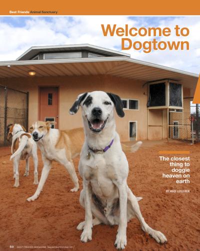 Welcome to Dogtown magazine article preview