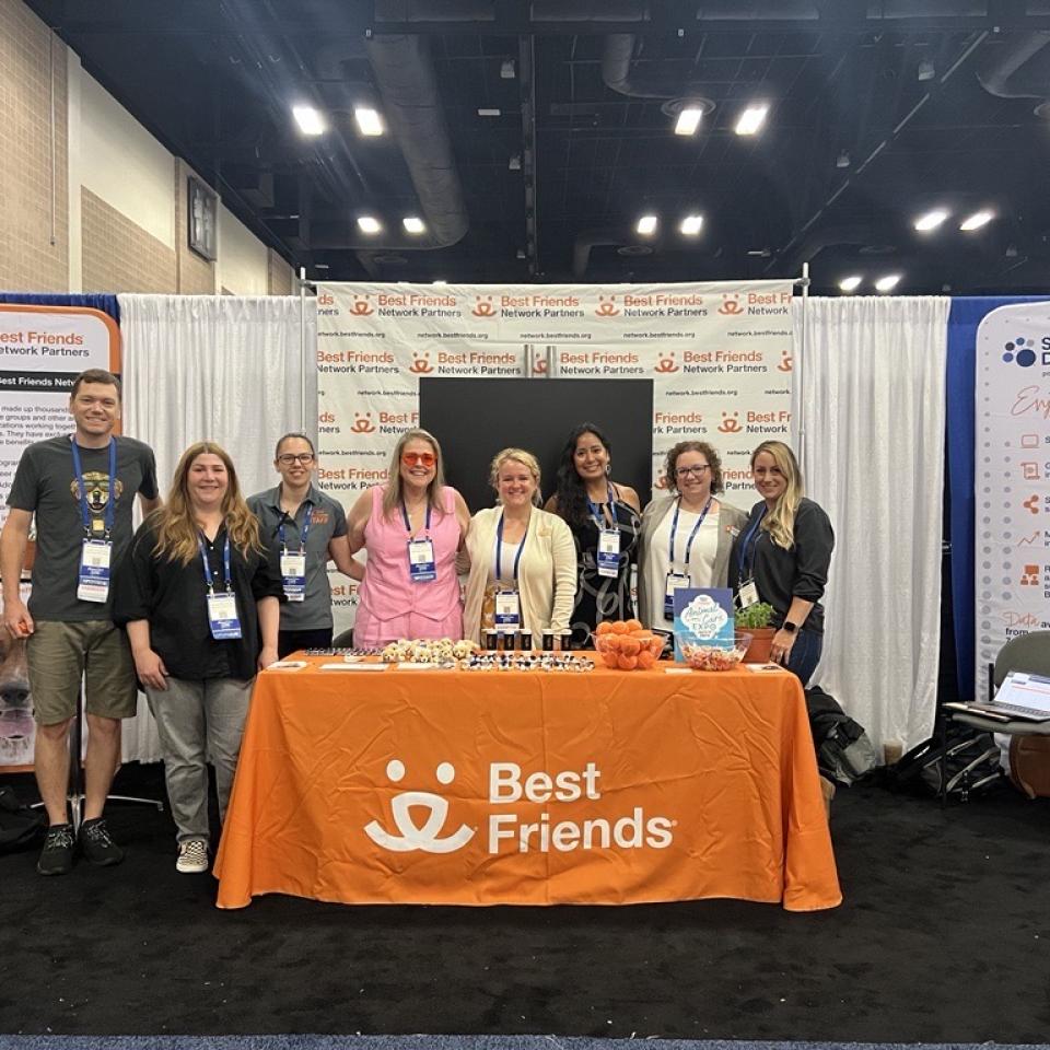 Network at HSUS Expo 2024