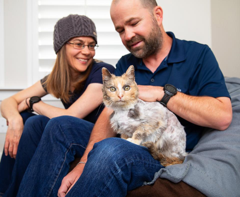 Two happy people sitting with a cat on a couch in a home