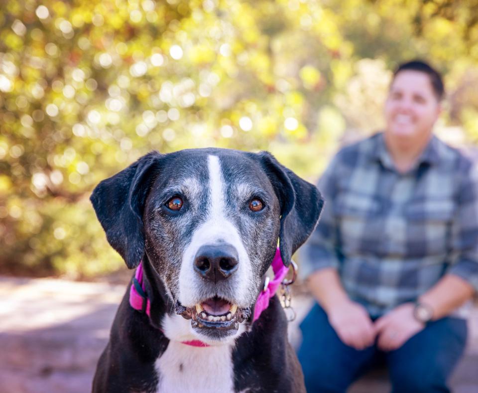 Senior dog in foreground with smiling person wearing a plaid shirt behind her