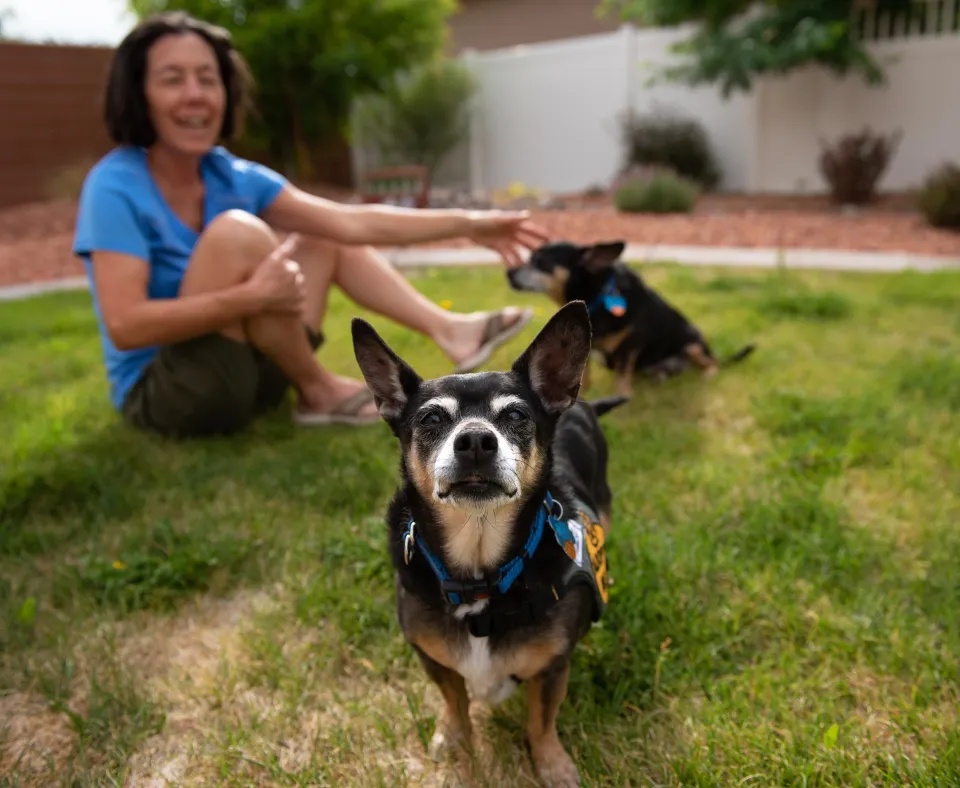 Smiling person sitting in a backyard with two small dogs