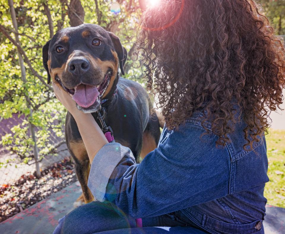 Person sitting down next to a dog outside with their arms around them