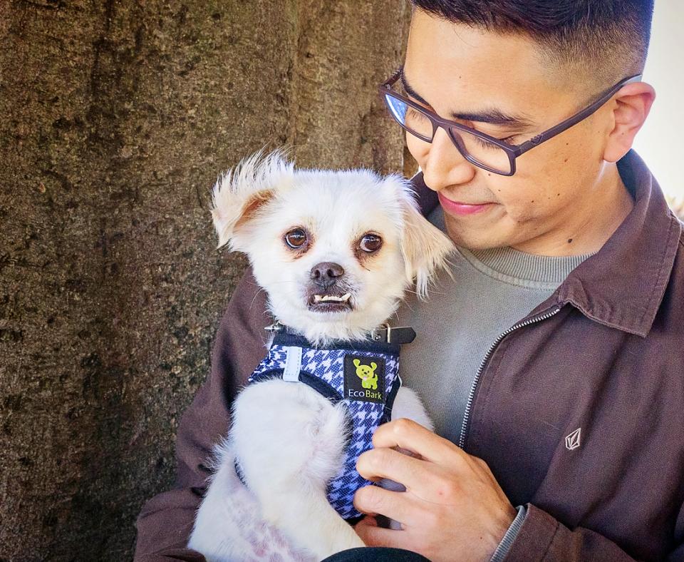 Person holding a small white dog