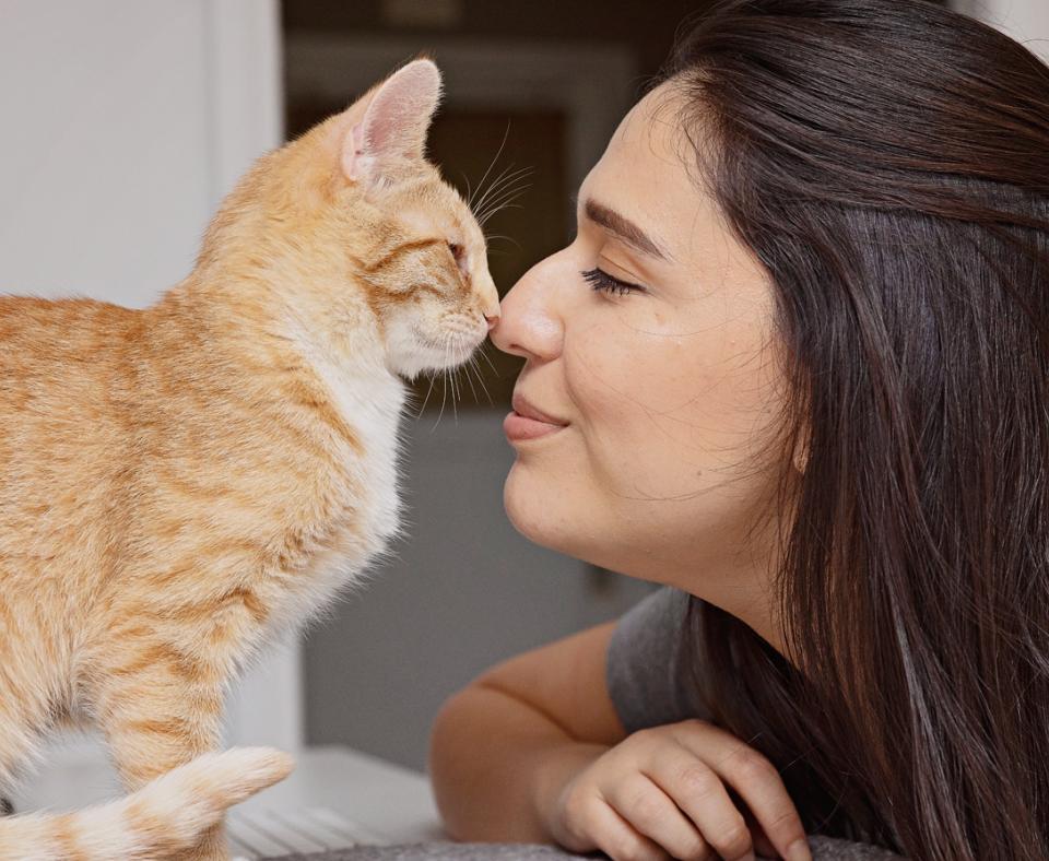 Smiling person nose-to-nose with an orange tabby cat