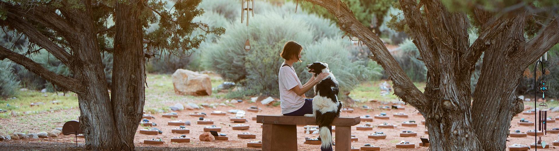 Person and dog on a bench at Angels Overlook between two trees, with the sun shining between the trees