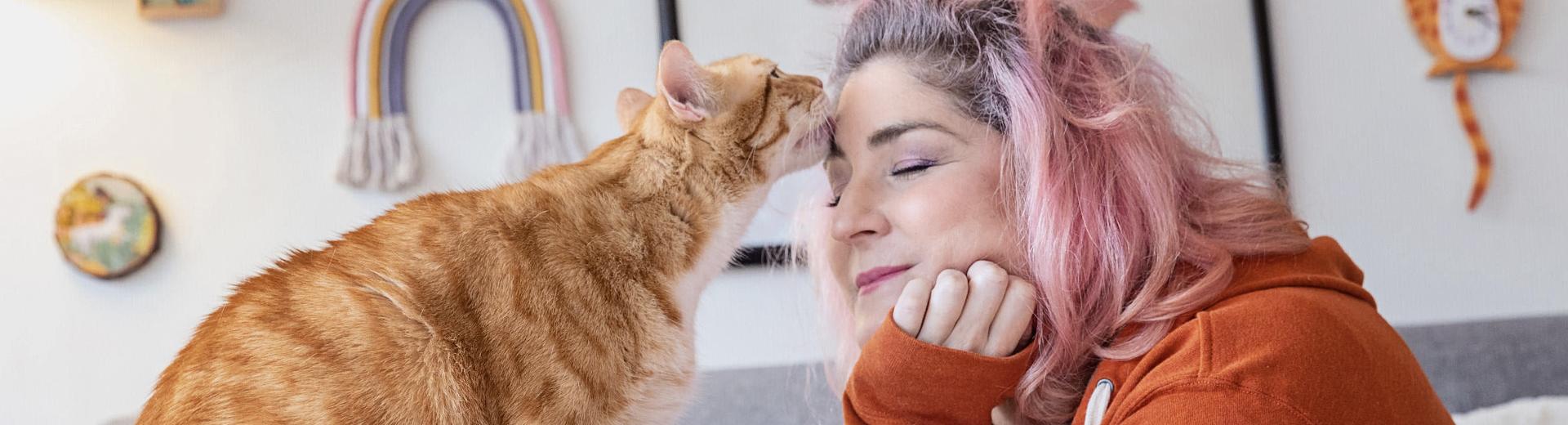 Orange cat kissing forehead of woman