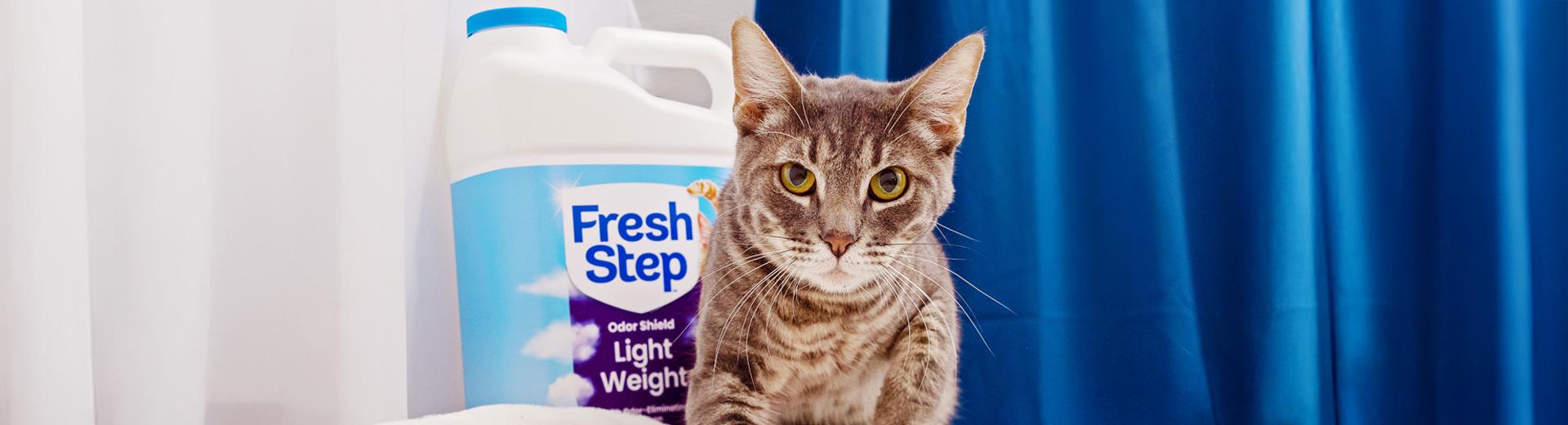 Cat standing next to a container of Fresh Step TM litter