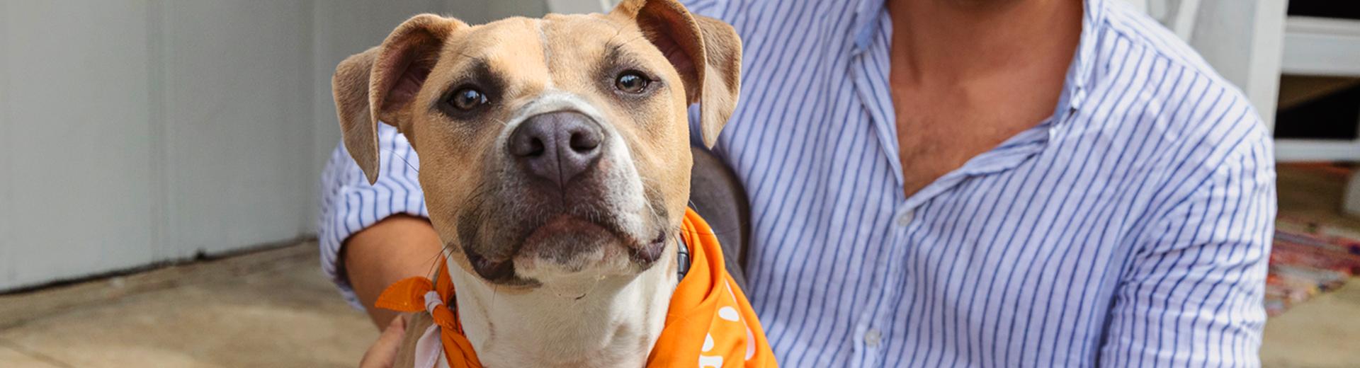 Person sitting outside on some steps with a dog