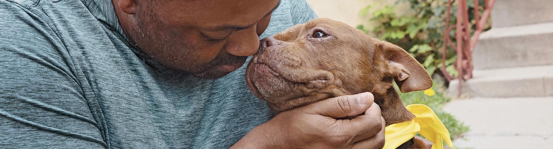 Houston Pet Adoption Center Best Friends Animal Society