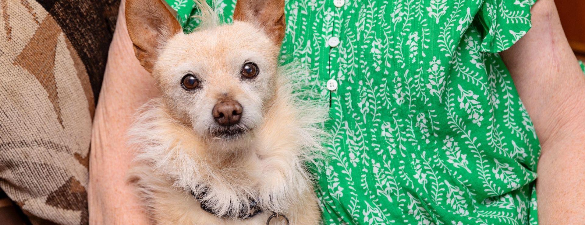 Older woman in green shirt sitting with tan-colored dog looking at camera