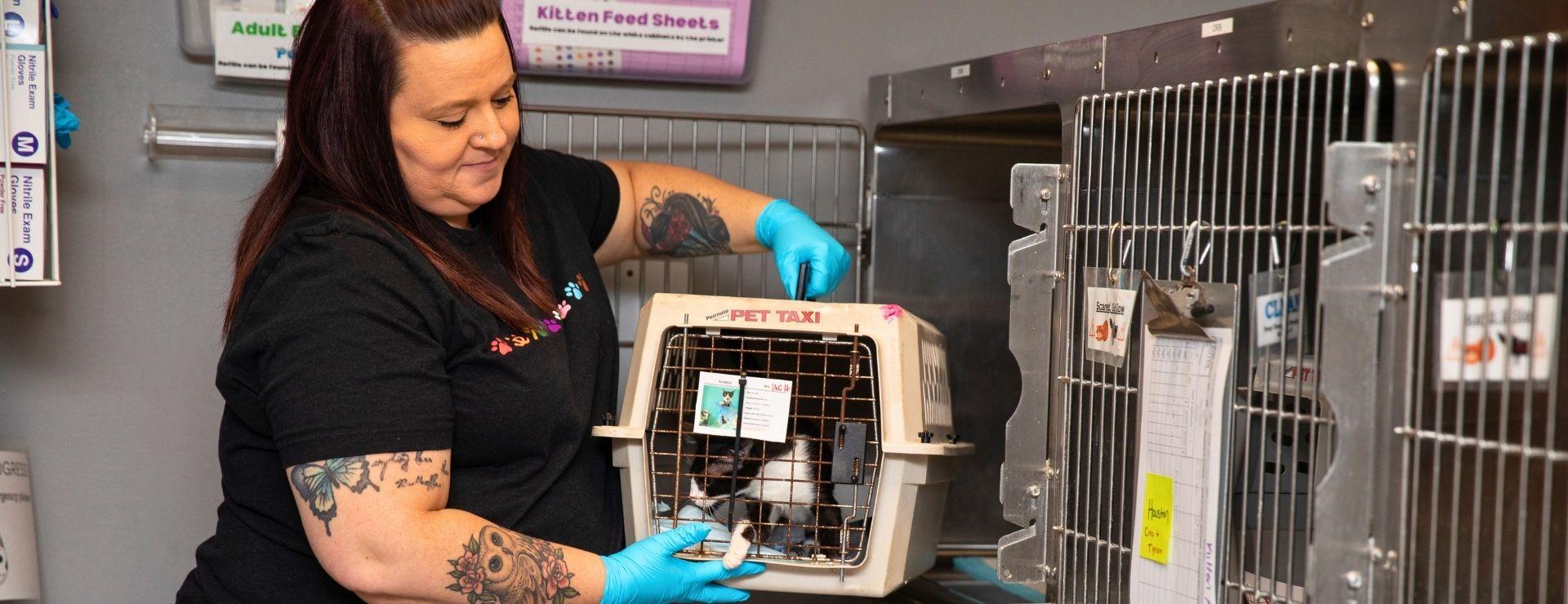 Woman with brown hair in a black shirt lifting a cat carrier to a bank of cages