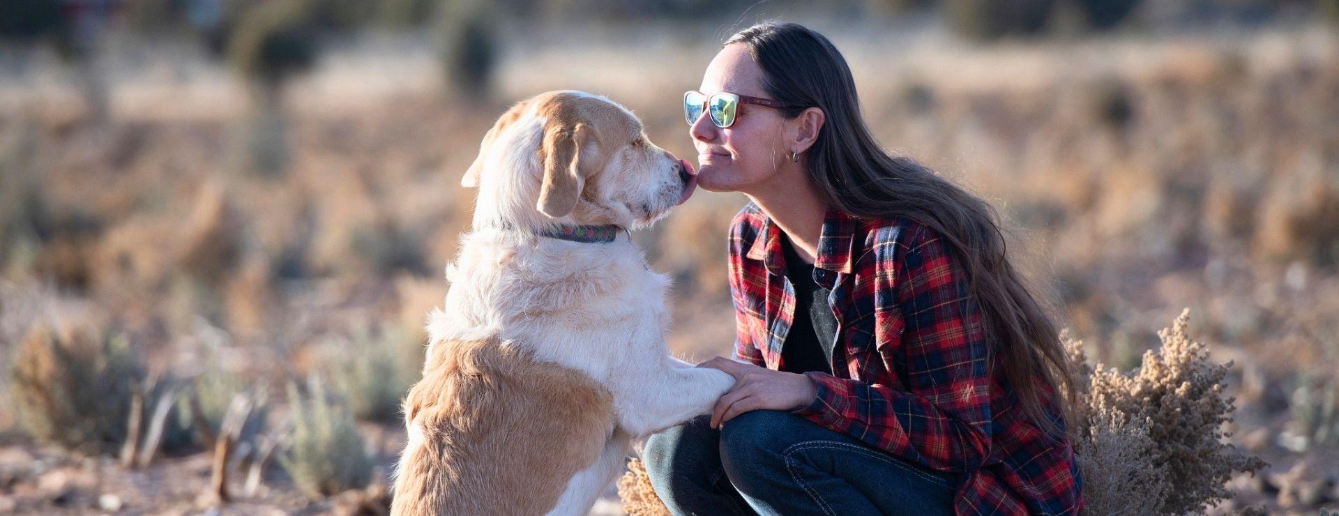 Woman in plaid shirt kneeling down outside with brown and white dog that's sitting on its hind legs