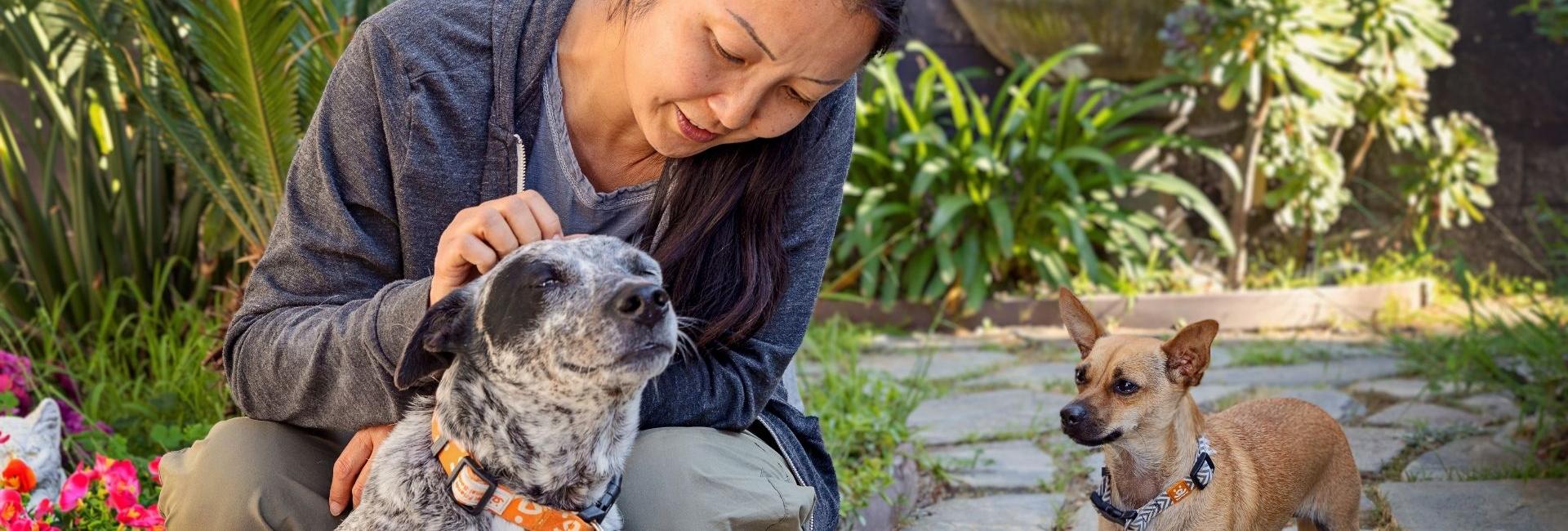 Asian woman petting black and white speckled dog