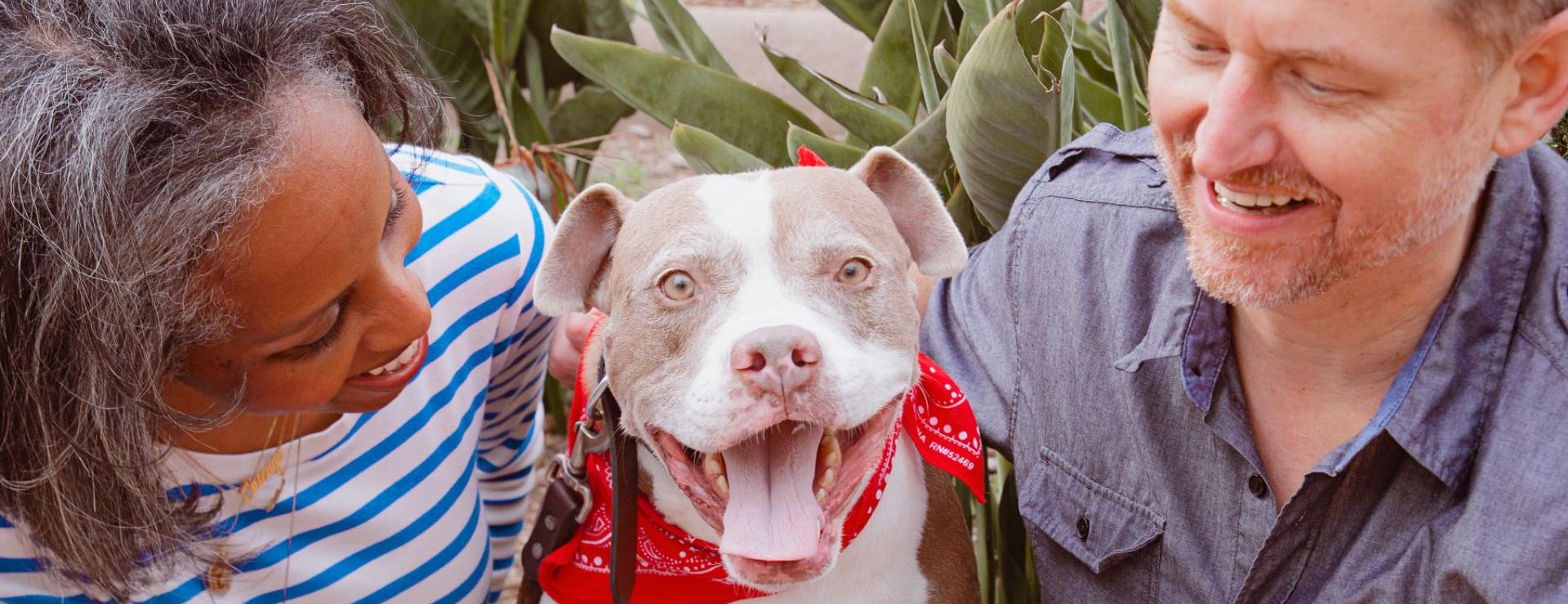 Man and woman sitting on either side of a smiling dog in a red bandana