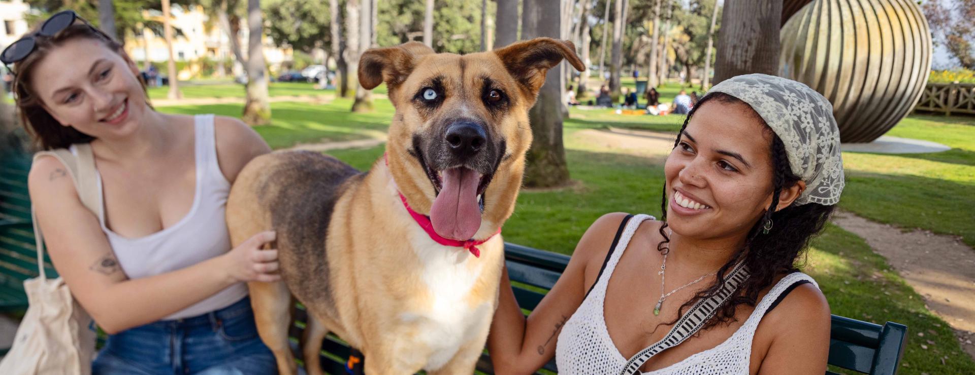 Two people sitting on an outside bench with a dog