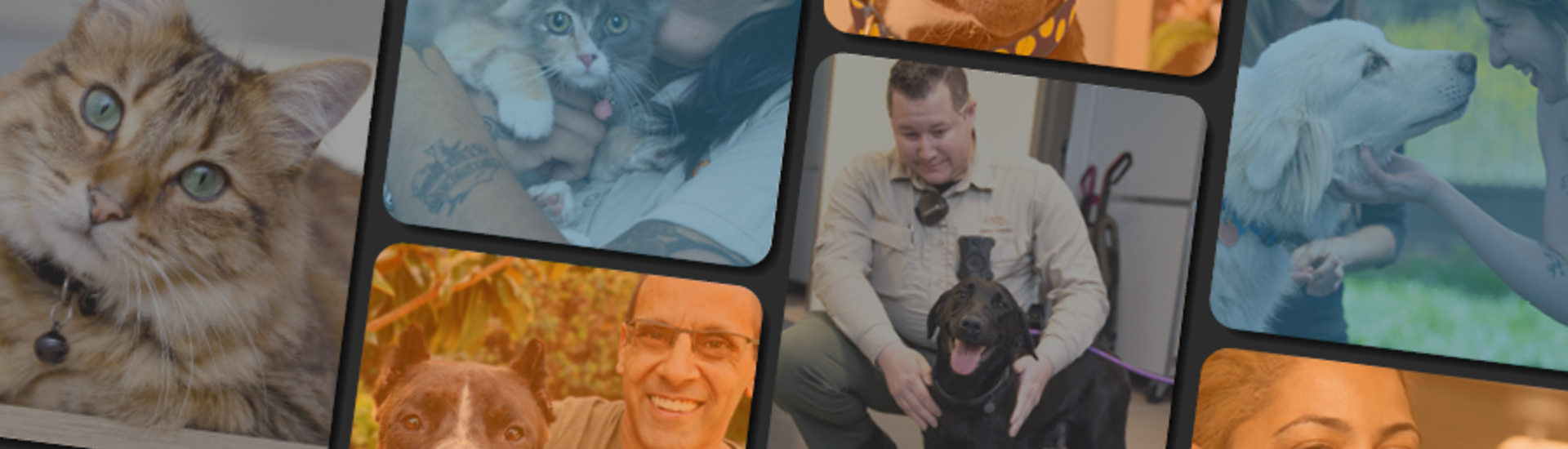 Collage of images of happy people with pets in blocks