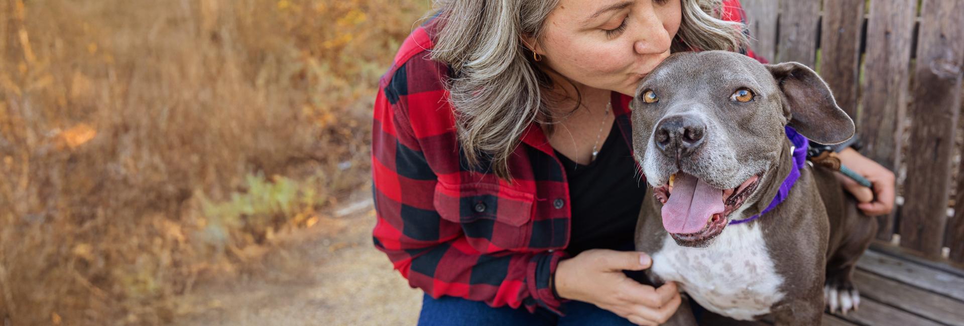 Person wearing red plaid shirt kissing the top of the head of a gray and white pit bull type dog