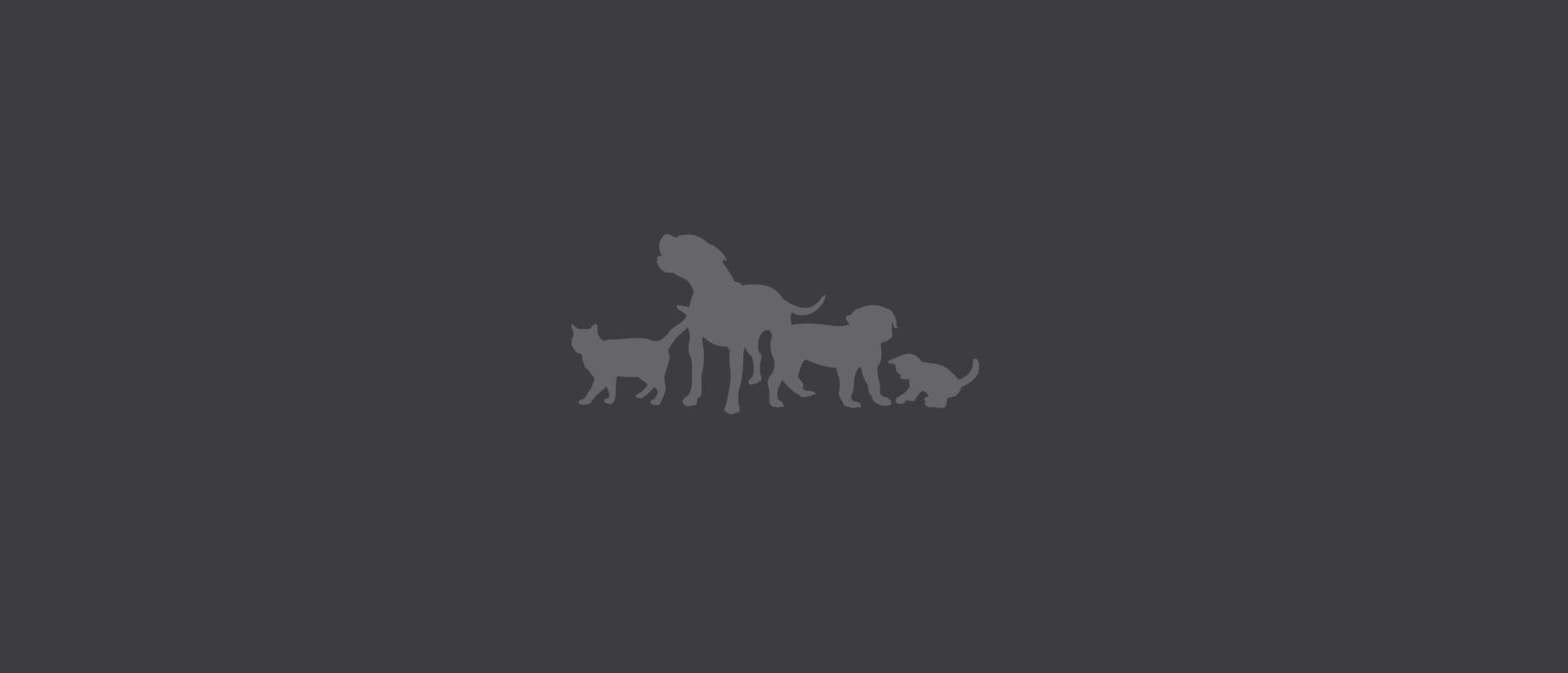 Silhouettes of dogs and cats
